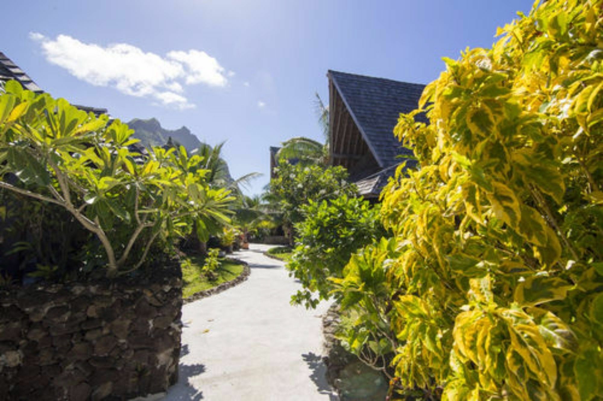 Oa Oa Lodge Bora Bora Zewnętrze zdjęcie
