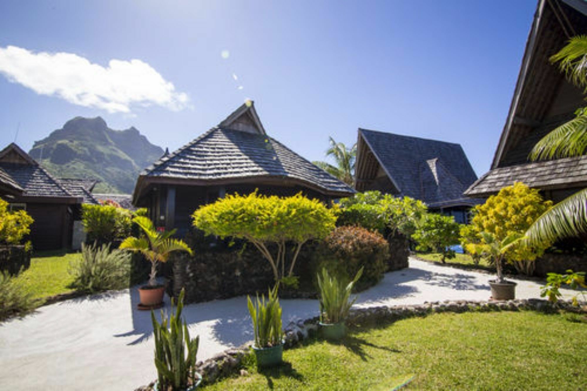 Oa Oa Lodge Bora Bora Zewnętrze zdjęcie