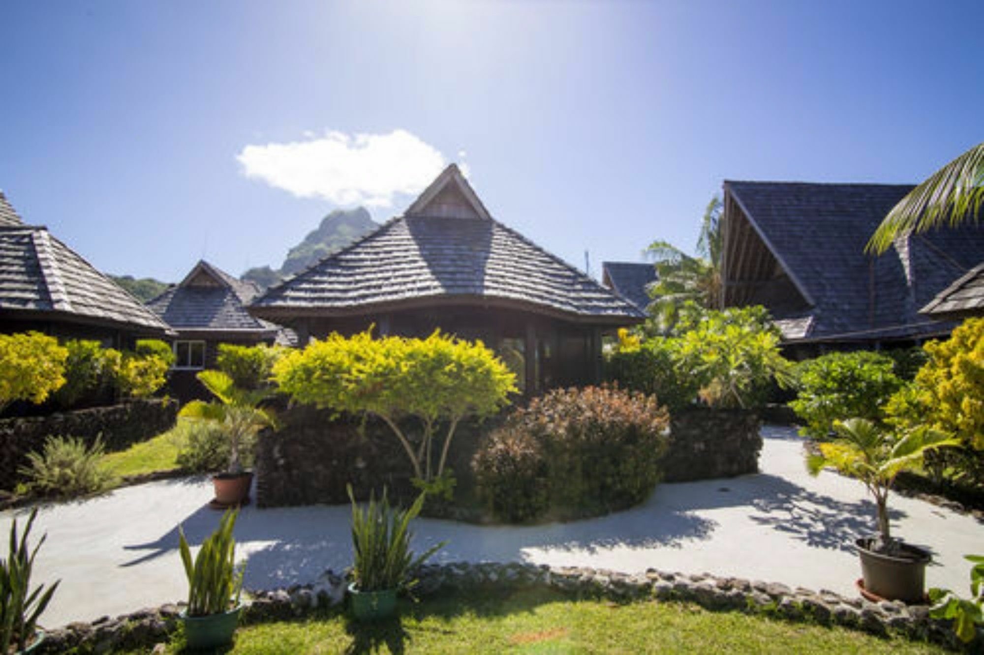 Oa Oa Lodge Bora Bora Zewnętrze zdjęcie