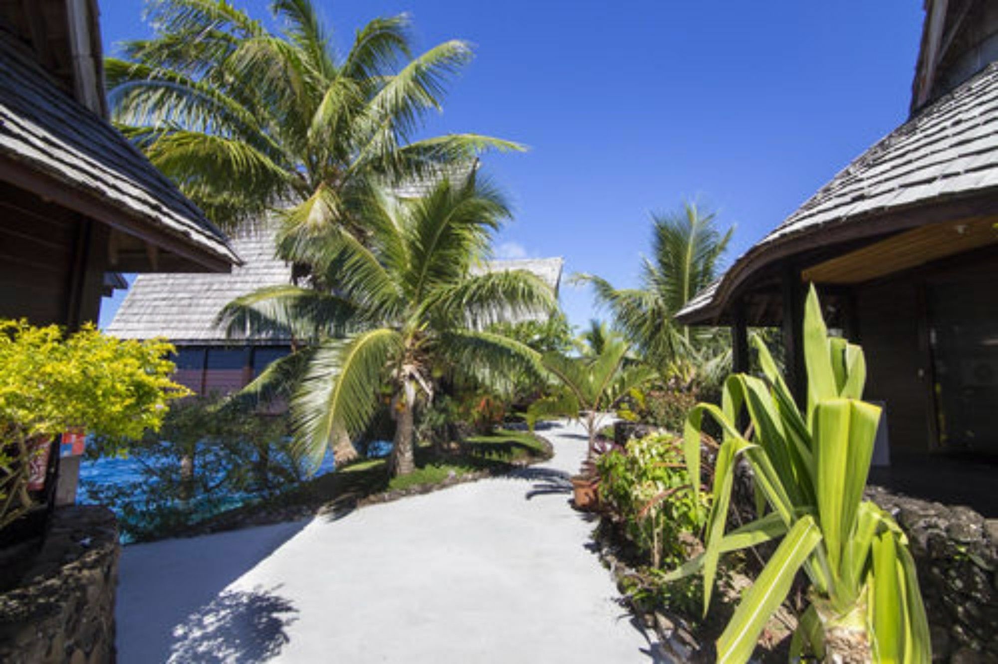 Oa Oa Lodge Bora Bora Zewnętrze zdjęcie