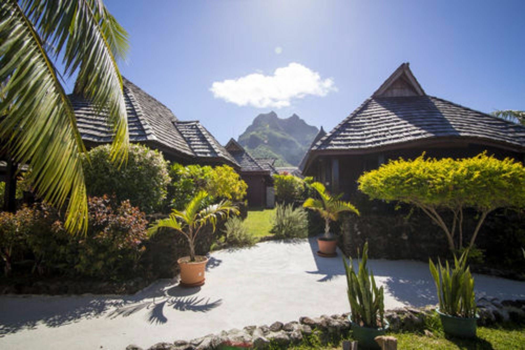 Oa Oa Lodge Bora Bora Zewnętrze zdjęcie