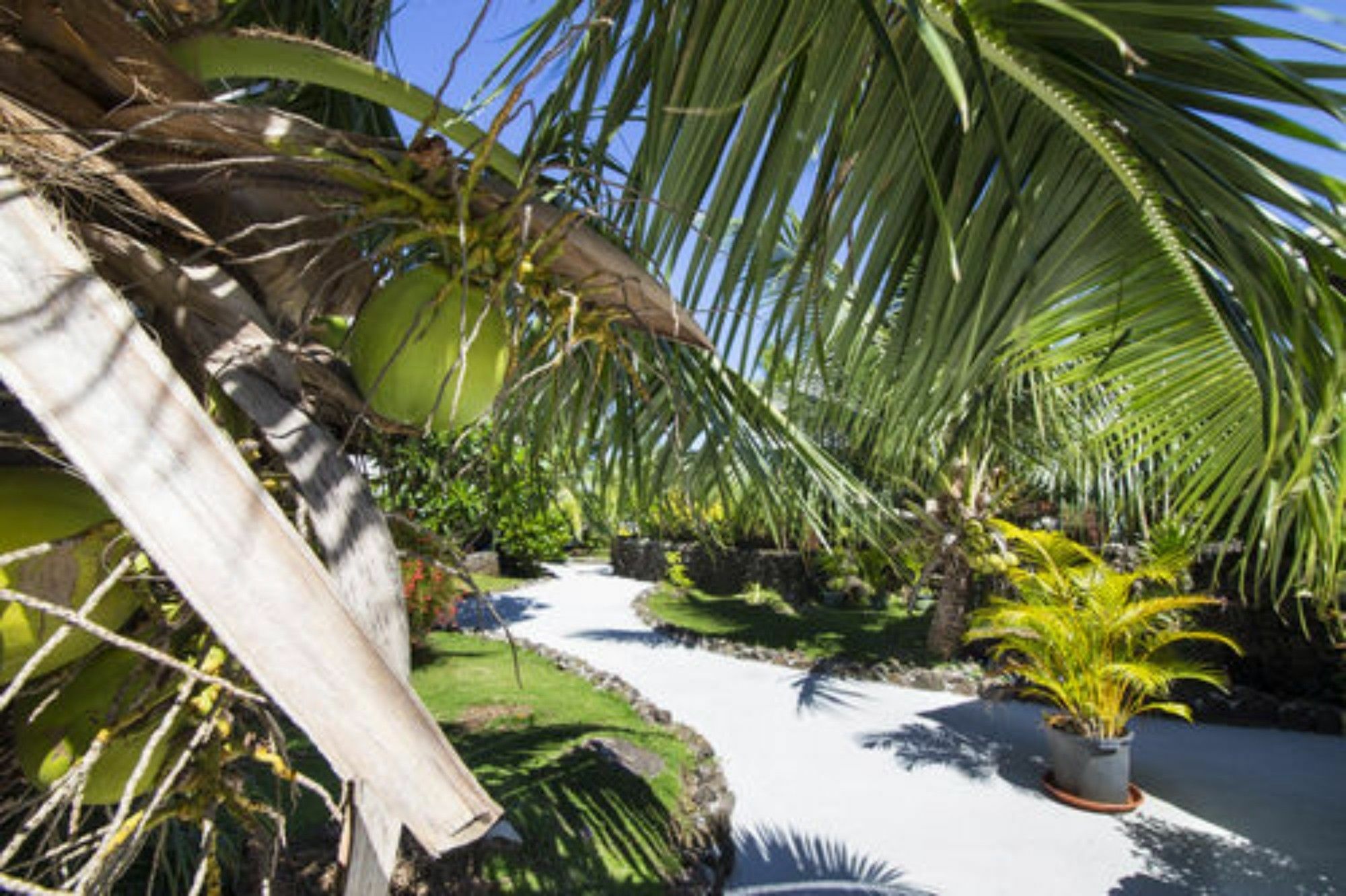 Oa Oa Lodge Bora Bora Zewnętrze zdjęcie